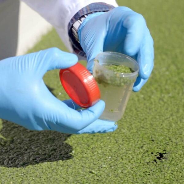 3. Producción de bioplásticos