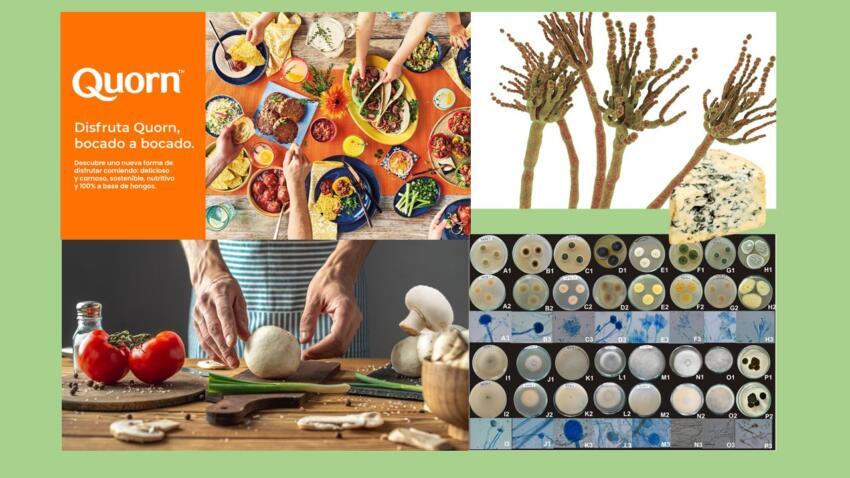 4. Fermentación y producción de alimentos