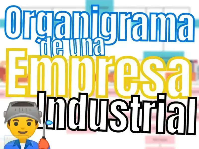 Actividades de Servicios