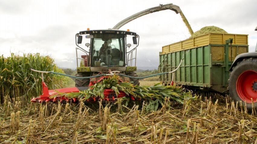 Agricultura
