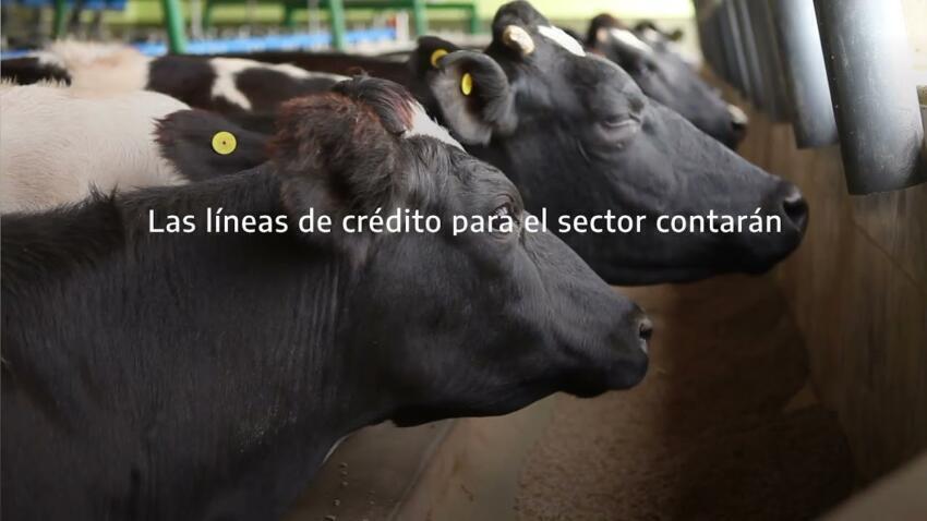 Regulaciones y Normativas
