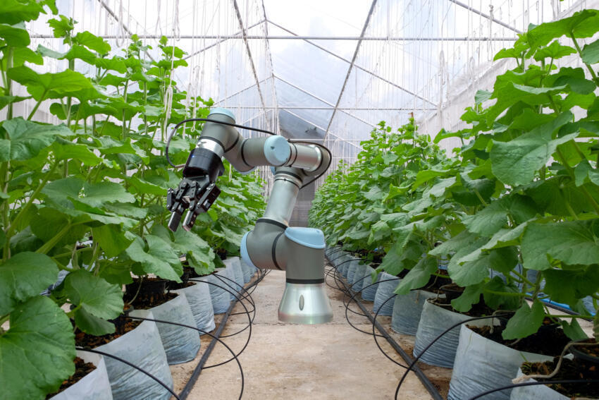 Tecnología en la Industria Agropecuaria